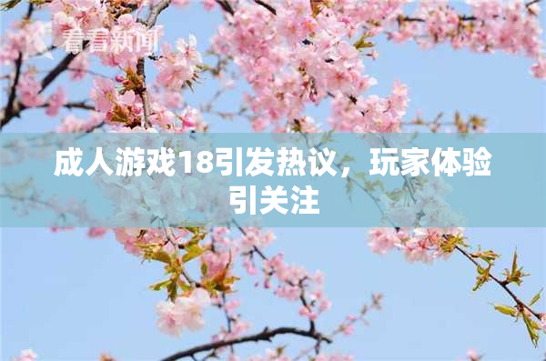 成人游戏18引发热议，玩家体验引关注