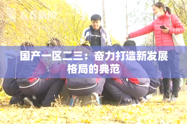 国产一区二三：奋力打造新发展格局的典范