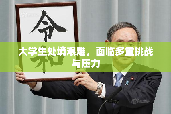 大学生处境艰难，面临多重挑战与压力