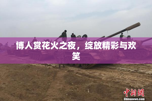 博人赏花火之夜，绽放精彩与欢笑