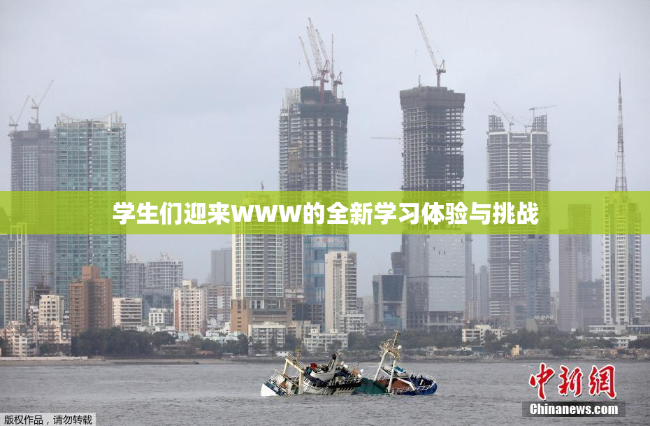 学生们迎来WWW的全新学习体验与挑战