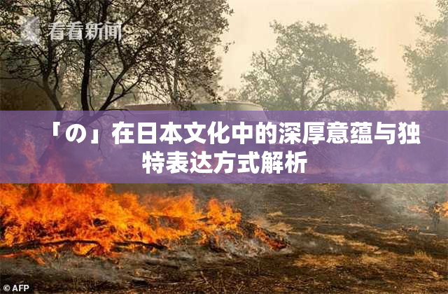 「の」在日本文化中的深厚意蕴与独特表达方式解析