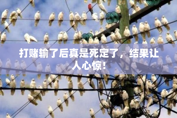 打赌输了后真是死定了，结果让人心惊！