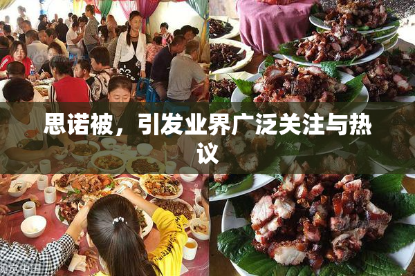 思诺被，引发业界广泛关注与热议