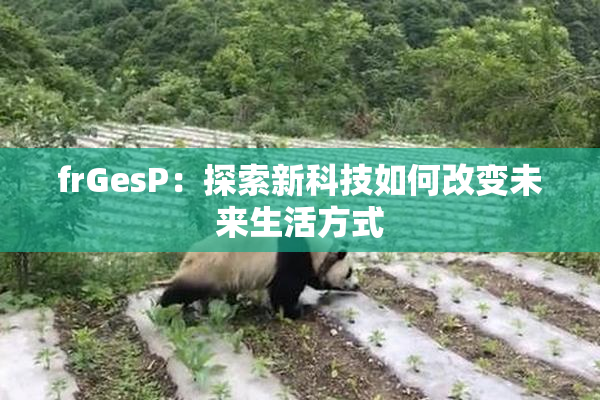 frGesP：探索新科技如何改变未来生活方式
