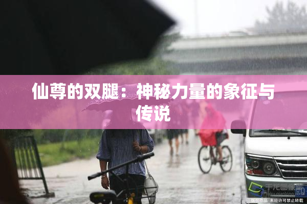 仙尊的双腿：神秘力量的象征与传说