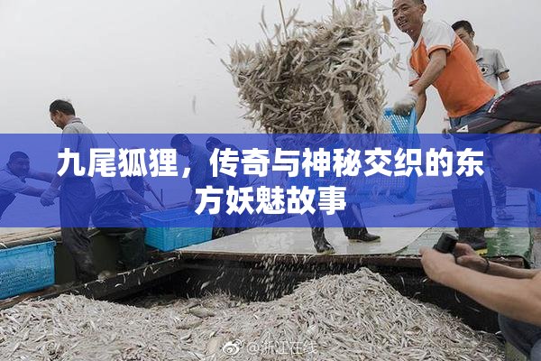 九尾狐狸，传奇与神秘交织的东方妖魅故事