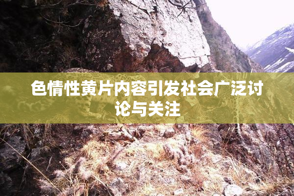 色情性黄片内容引发社会广泛讨论与关注