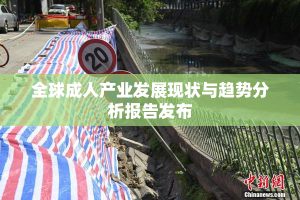 全球成人产业发展现状与趋势分析报告发布