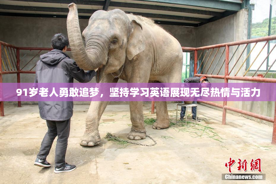 91岁老人勇敢追梦，坚持学习英语展现无尽热情与活力