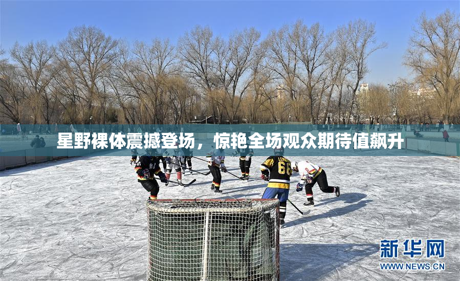 星野裸体震撼登场，惊艳全场观众期待值飙升