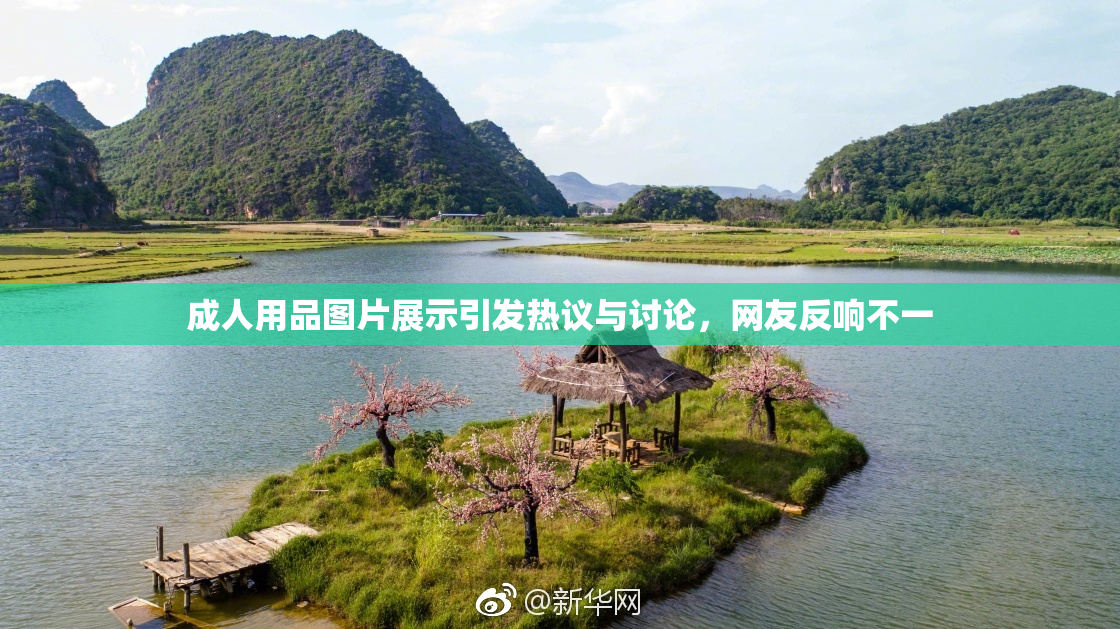 成人用品图片展示引发热议与讨论，网友反响不一