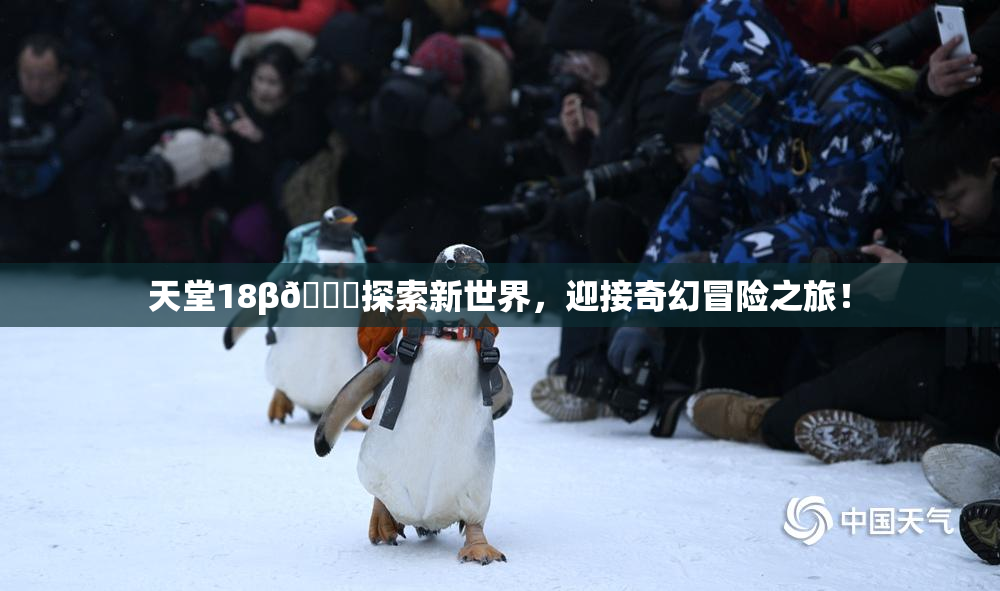 天堂18β🍆探索新世界，迎接奇幻冒险之旅！