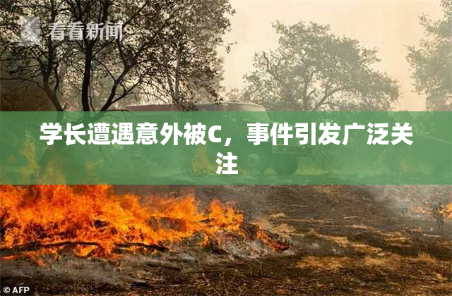 学长遭遇意外被C，事件引发广泛关注