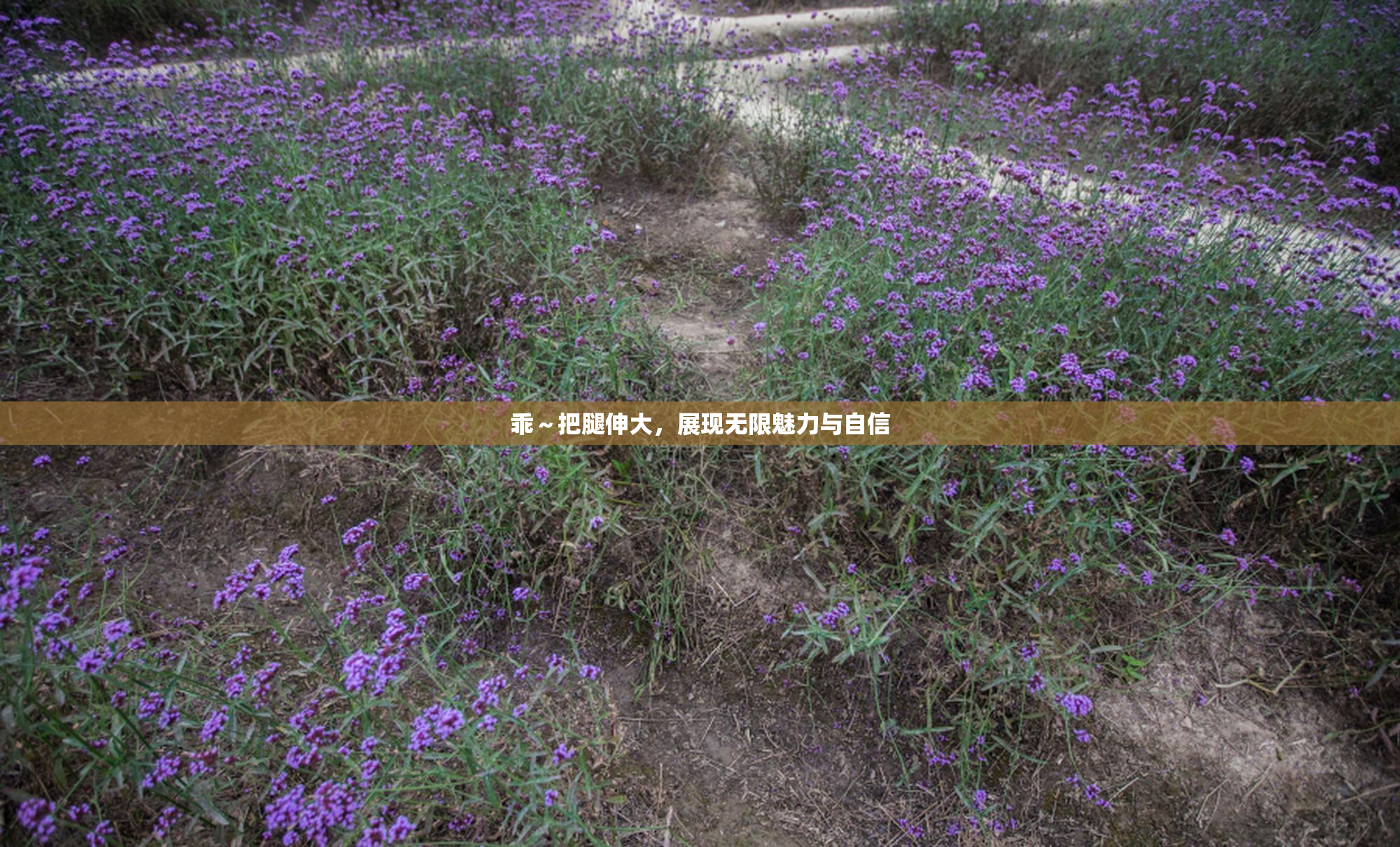 乖～把腿伸大，展现无限魅力与自信