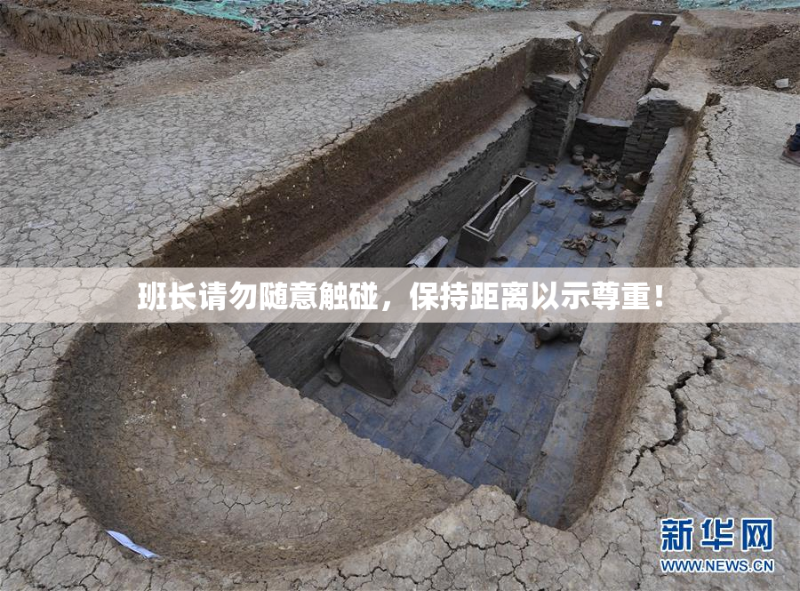 班长请勿随意触碰，保持距离以示尊重！