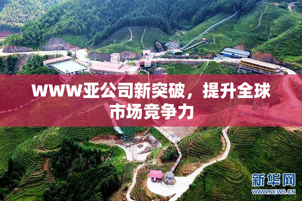 WWW亚公司新突破，提升全球市场竞争力