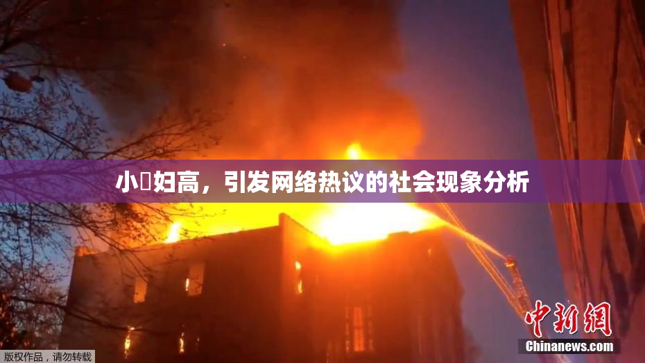 小婬妇高，引发网络热议的社会现象分析
