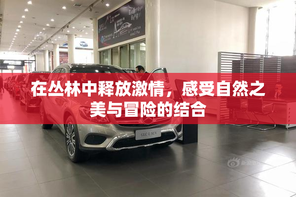 在丛林中释放激情，感受自然之美与冒险的结合
