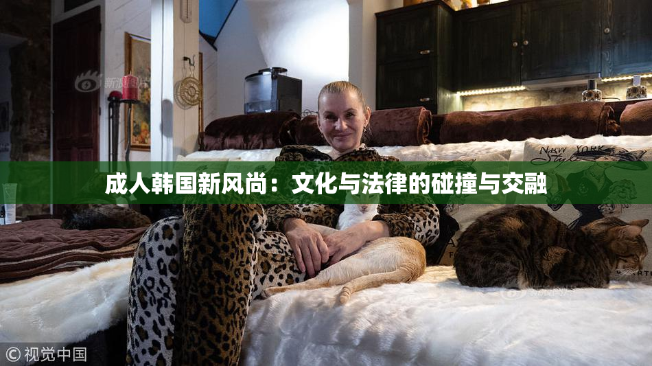 成人韩国新风尚：文化与法律的碰撞与交融