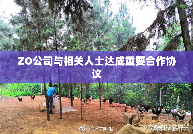 ZO公司与相关人士达成重要合作协议