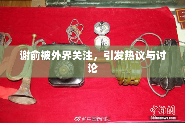 谢俞被外界关注，引发热议与讨论