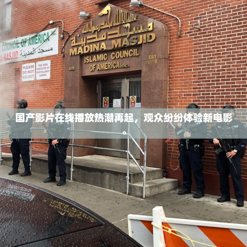 国产影片在线播放热潮再起，观众纷纷体验新电影。