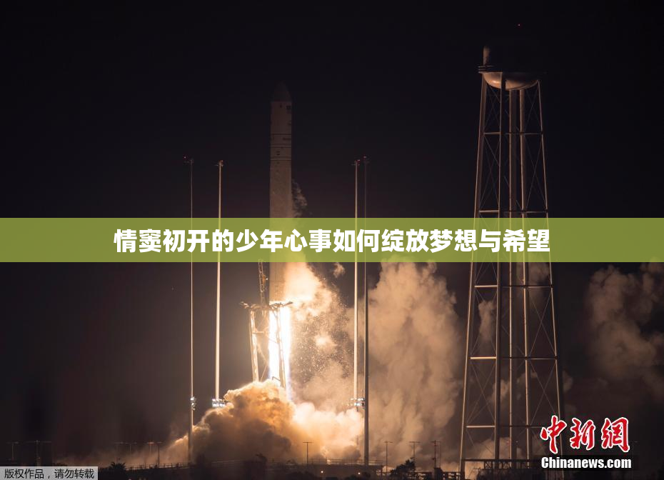 情窦初开的少年心事如何绽放梦想与希望