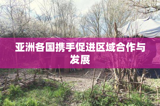 亚洲各国携手促进区域合作与发展