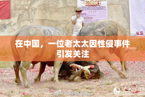 在中国，一位老太太因性侵事件引发关注