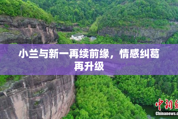 小兰与新一再续前缘，情感纠葛再升级