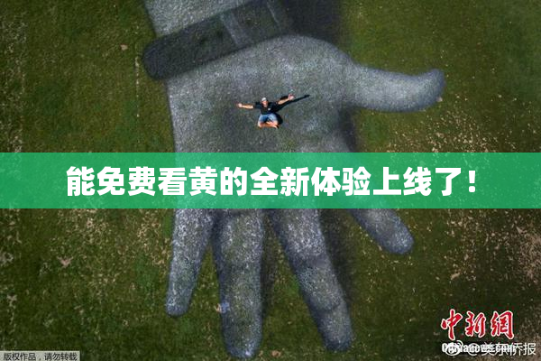 能免费看黄的全新体验上线了！