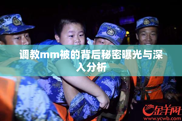 调教mm被的背后秘密曝光与深入分析
