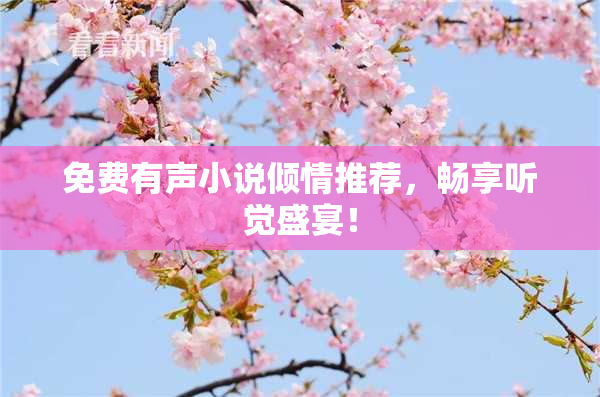 免费有声小说倾情推荐，畅享听觉盛宴！