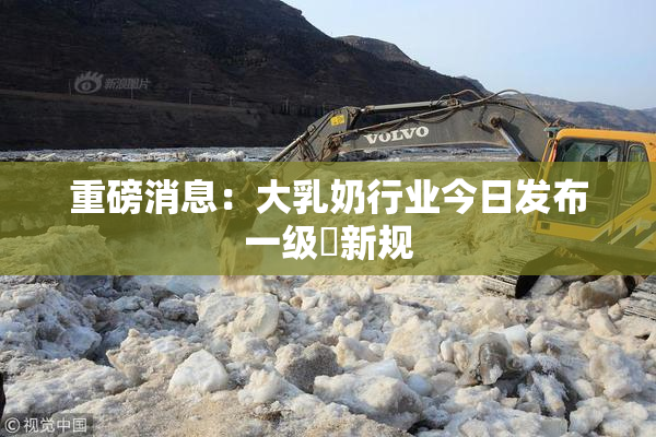 重磅消息：大乳奶行业今日发布一级婬新规