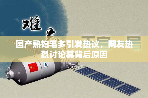 国产熟妇毛多引发热议，网友热烈讨论其背后原因