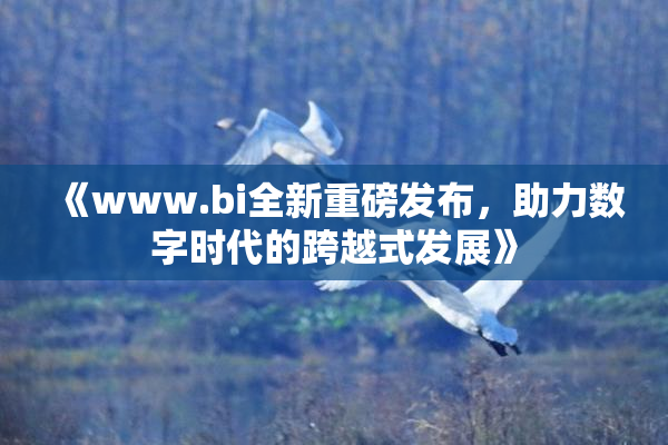 《www.bi全新重磅发布，助力数字时代的跨越式发展》