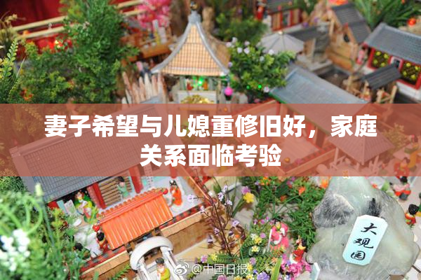 妻子希望与儿媳重修旧好，家庭关系面临考验