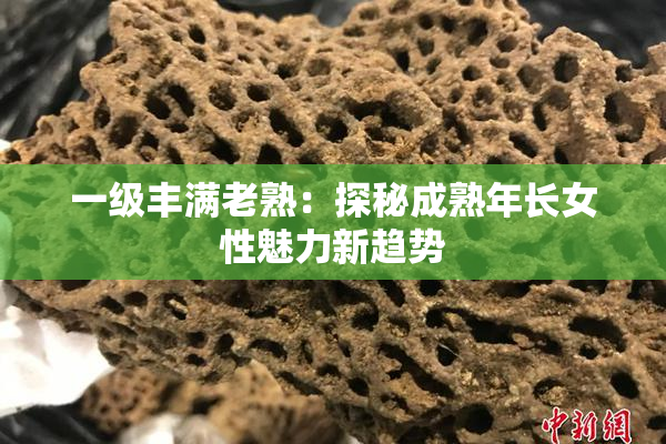 一级丰满老熟：探秘成熟年长女性魅力新趋势