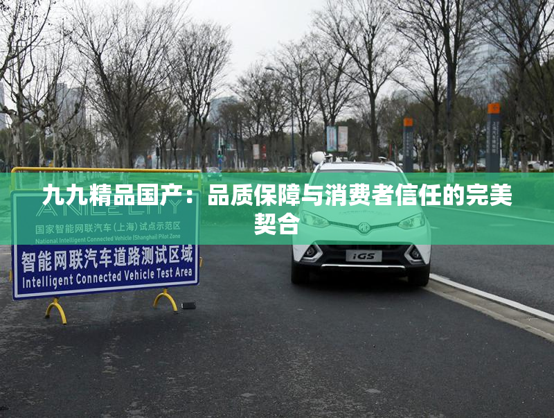 九九精品国产：品质保障与消费者信任的完美契合