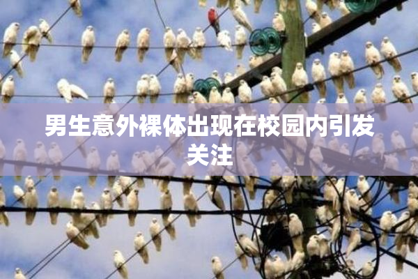 男生意外裸体出现在校园内引发关注