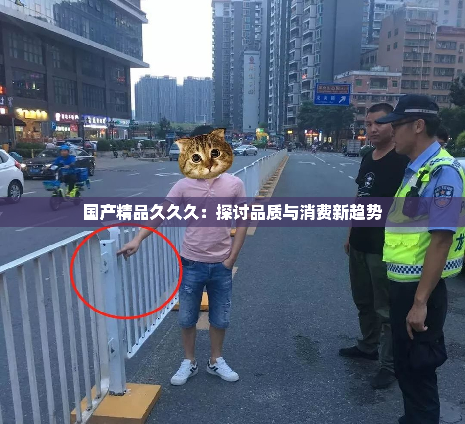国产精品久久久：探讨品质与消费新趋势