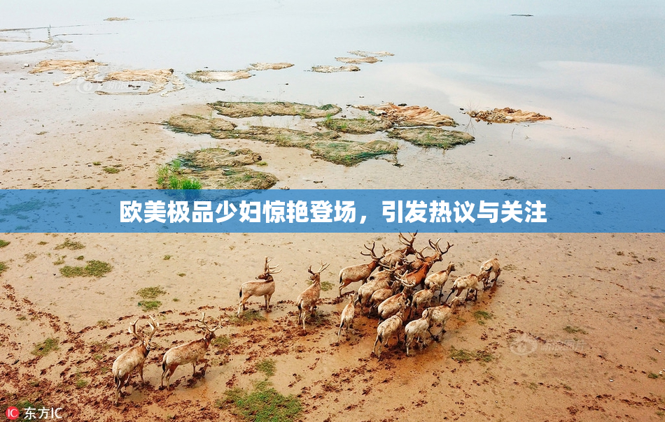 欧美极品少妇惊艳登场，引发热议与关注