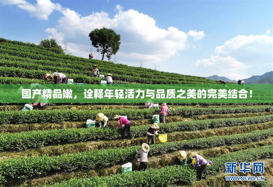 国产精品嫩，诠释年轻活力与品质之美的完美结合！