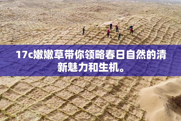 17c嫩嫩草带你领略春日自然的清新魅力和生机。