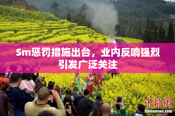 Sm惩罚措施出台，业内反响强烈引发广泛关注