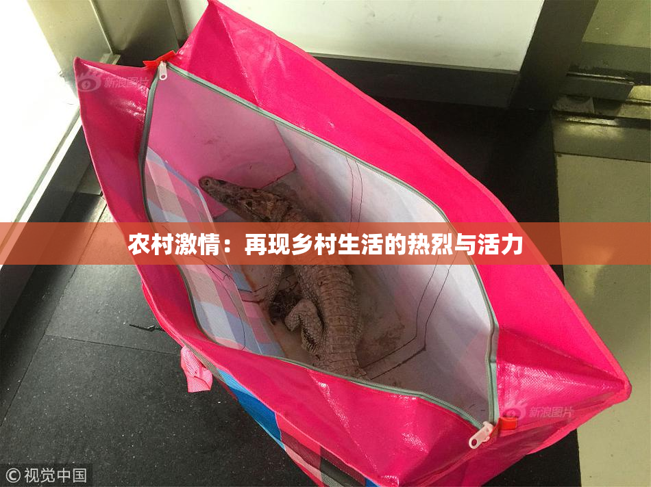 农村激情：再现乡村生活的热烈与活力