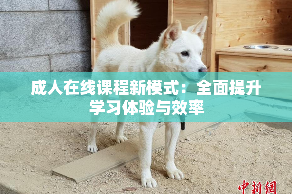 成人在线课程新模式：全面提升学习体验与效率
