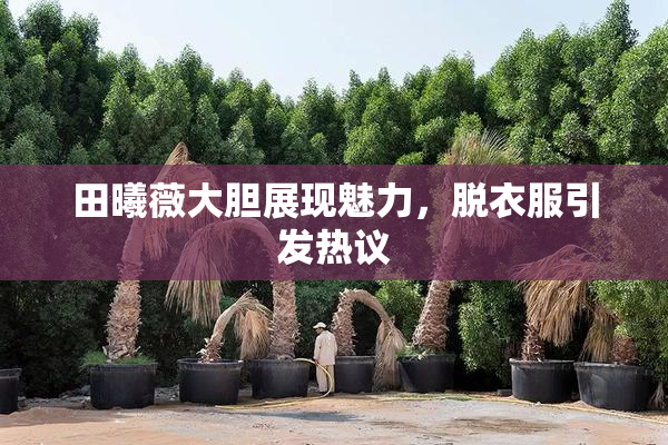 田曦薇大胆展现魅力，脱衣服引发热议