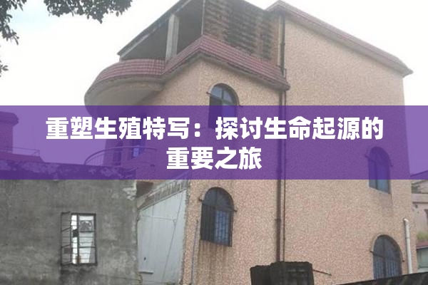 重塑生殖特写：探讨生命起源的重要之旅